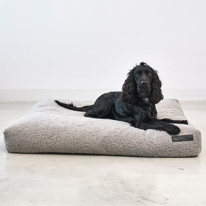 Senso Dog cushion from MiaCara