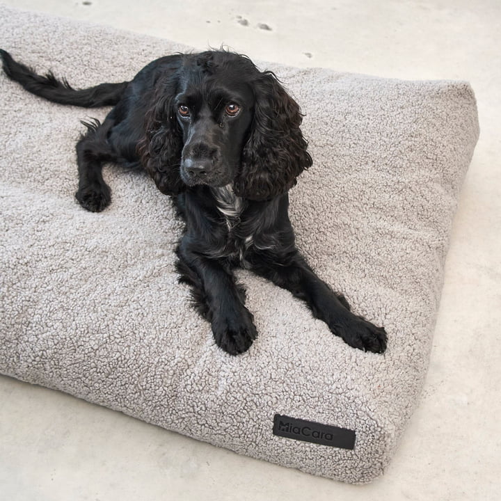 Senso Dog cushion from MiaCara