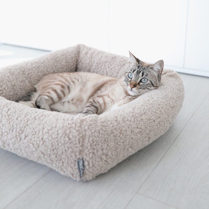 Senso cat bed from MiaCara