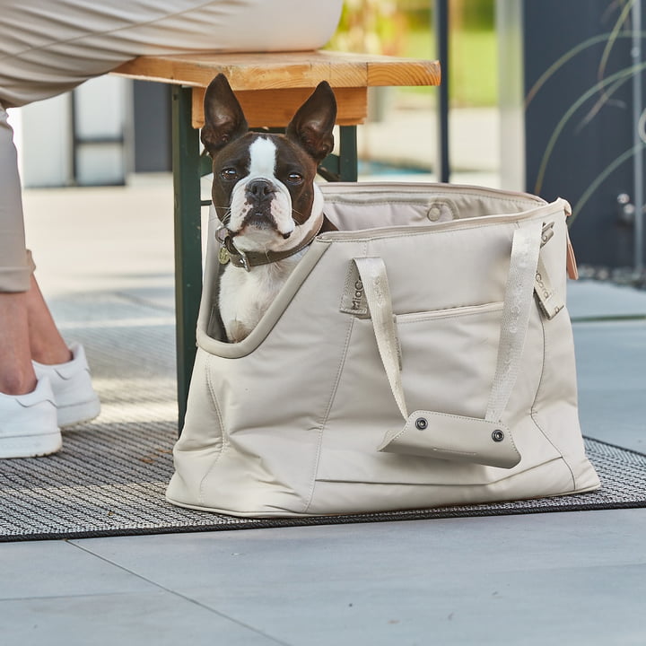 Sporta Dog carrier bag from MiaCara