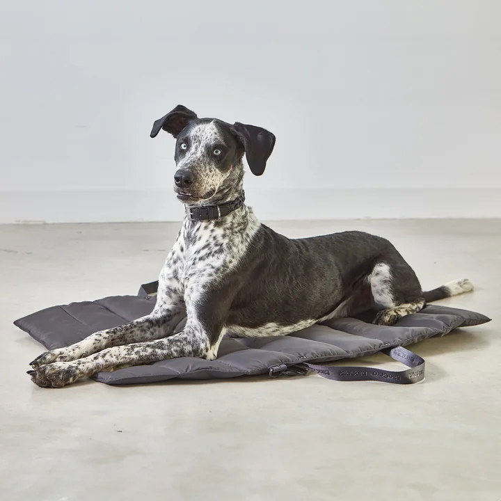 Strada TravelBed Dog travel bed from MiaCara