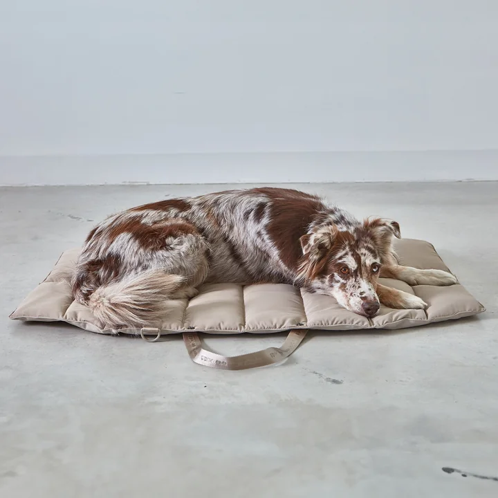 Strada TravelBed Dog travel bed from MiaCara