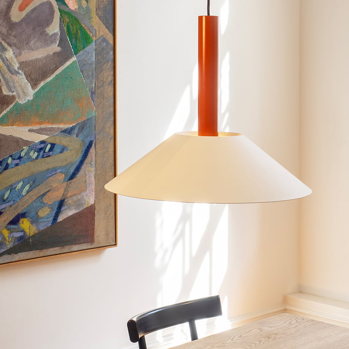 Hook Pendant light from NINE