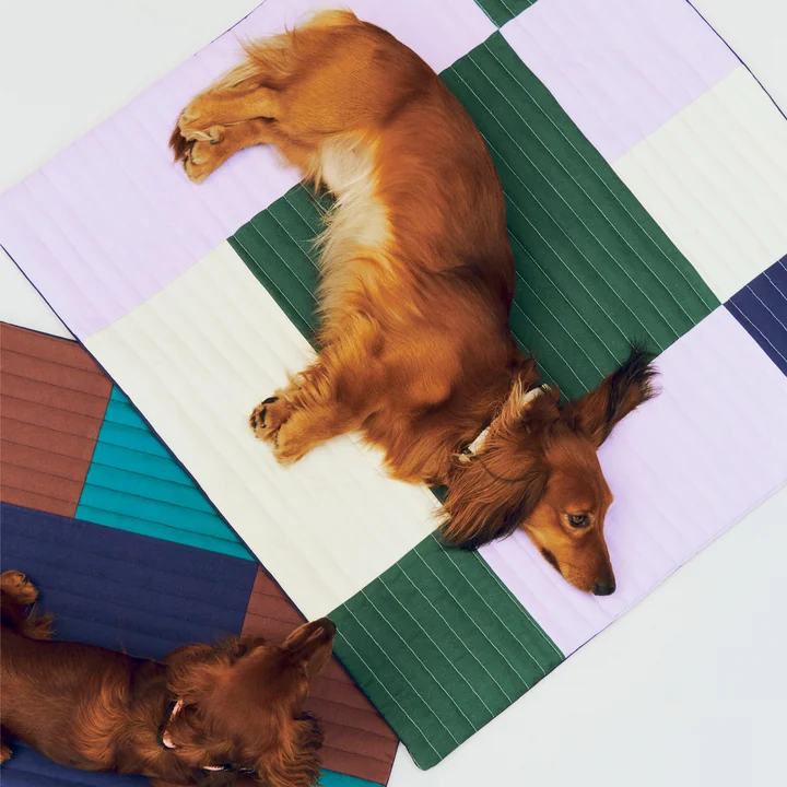 HAY - Dogs Travel blanket, 80 x 80 cm, lavender / green / blue