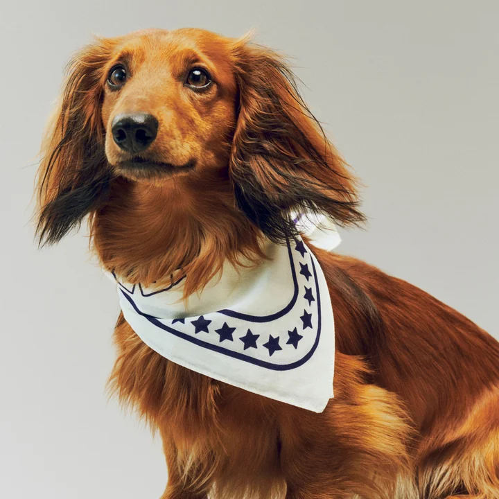 HAY - Dogs Dog towel, recycled, 55 x 55 cm, off-white / blue