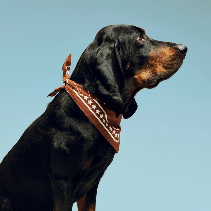 HAY - Dogs Dog towel, recycled, 55 x 55 cm, brown