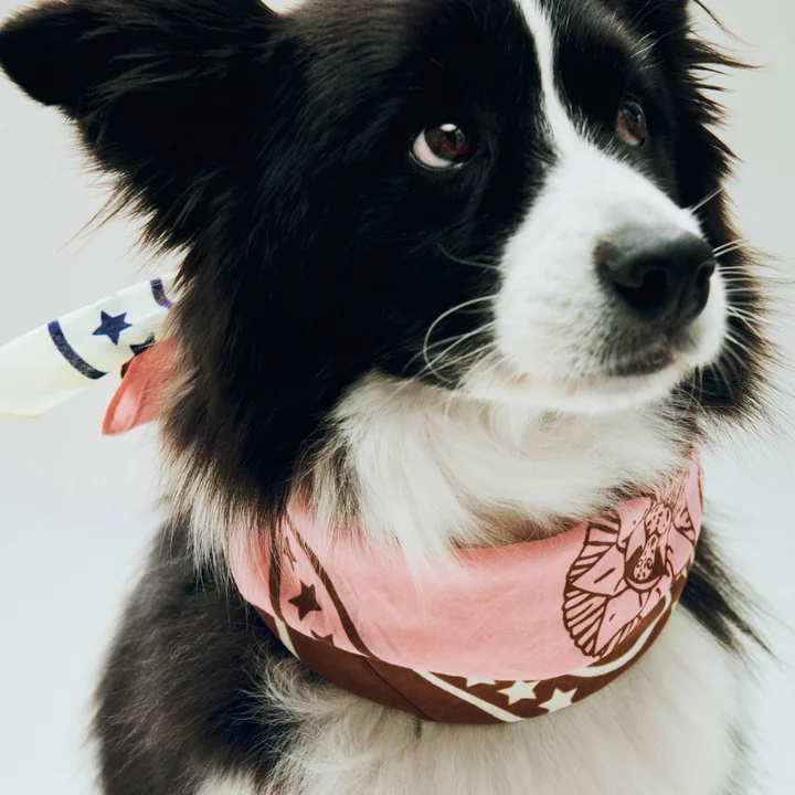 HAY - Dogs Dog towel, recycled, 55 x 55 cm, pink