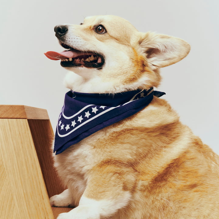 HAY - Dogs Dog towel, recycled, 55 x 55 cm, dark blue