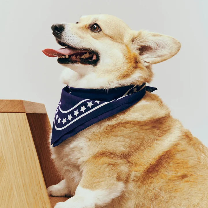 HAY - Dogs Dog towel, recycled, 55 x 55 cm, dark blue