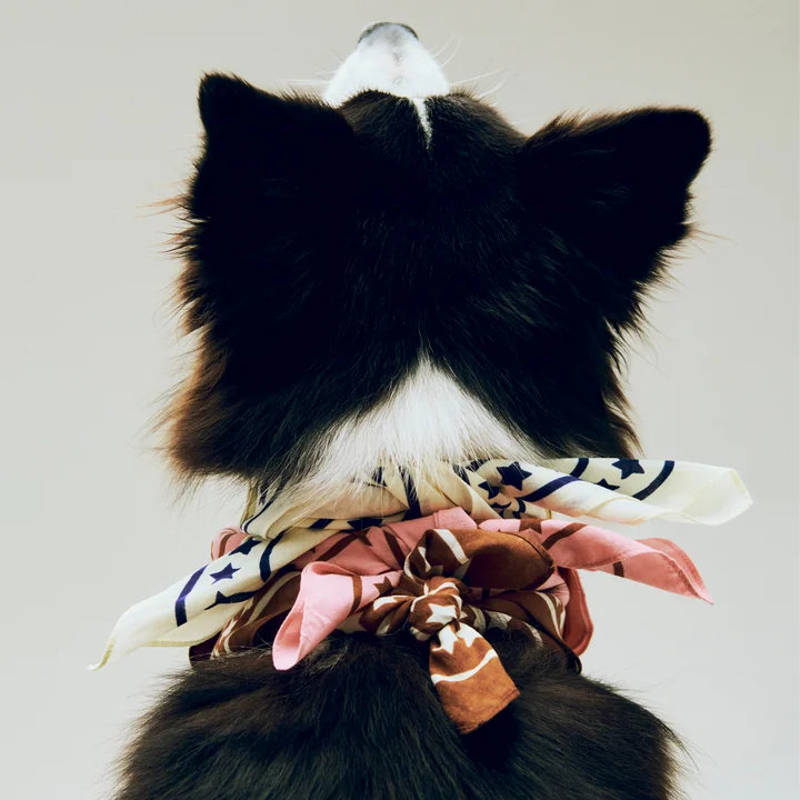 HAY - Dogs Dog towel, recycled, 55 x 55 cm