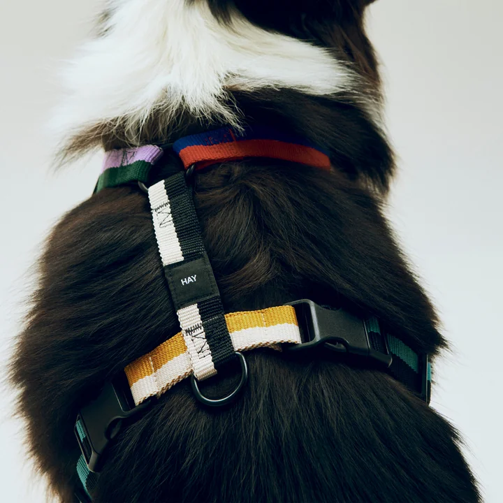 HAY - Dogs Dog harness, M, multi