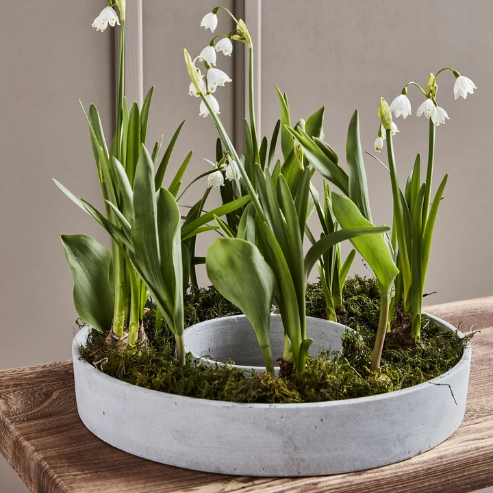 The Ring Candlestick from House Doctor in color gray