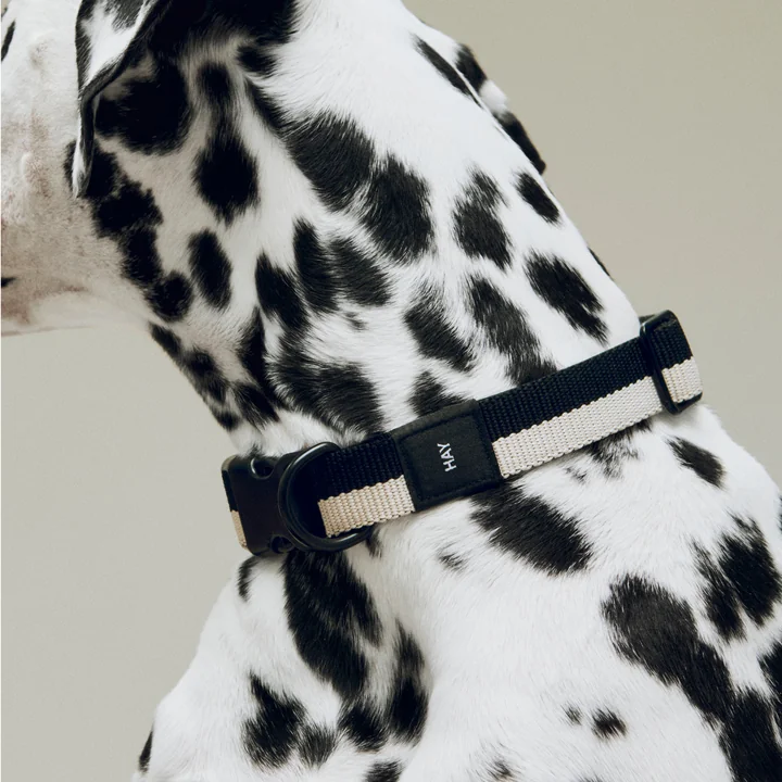 HAY - Dogs Dog collar, M/L, black / white