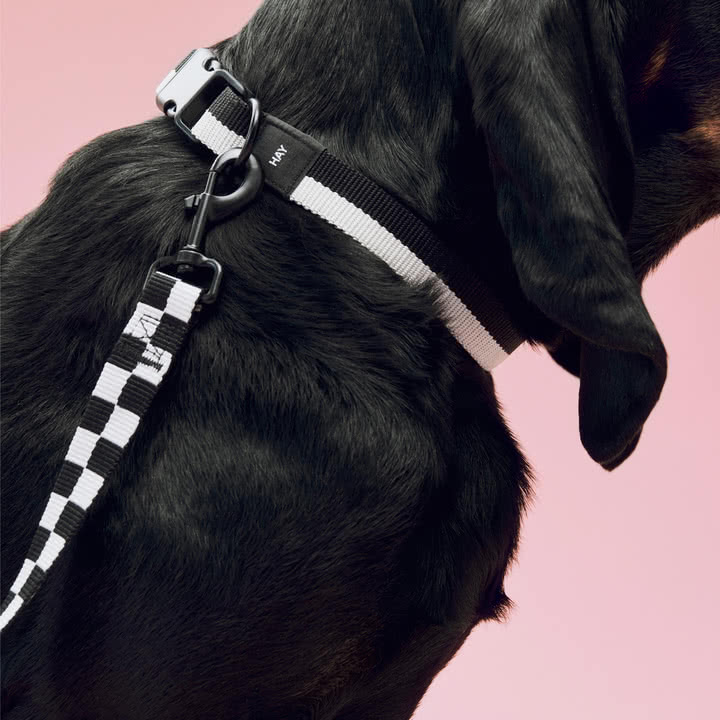 HAY - Dogs Dog collar, M/L, dog lead M /L Check, black / white