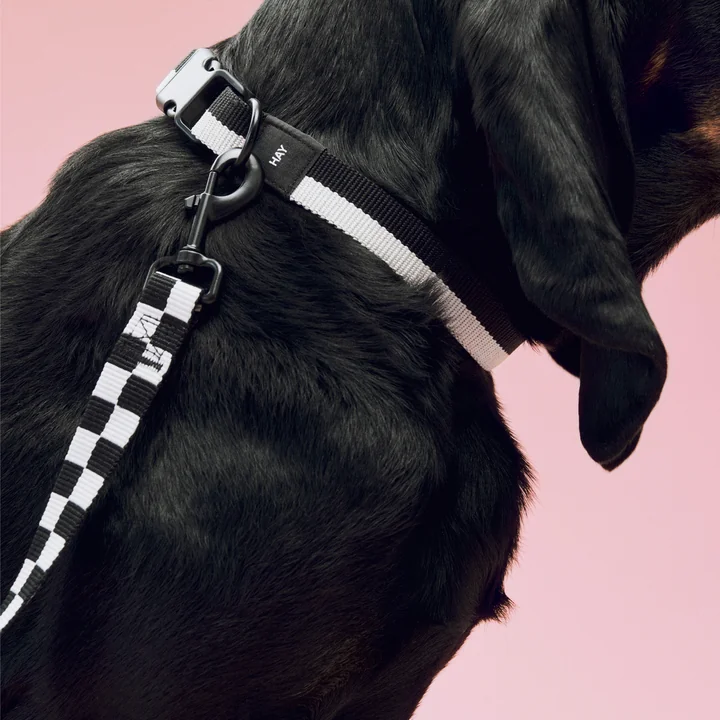 HAY - Dogs Dog collar, M/L, dog lead M /L Check, black / white