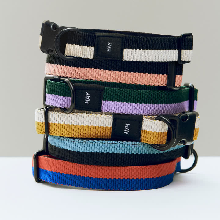 HAY - Dogs Dog collars