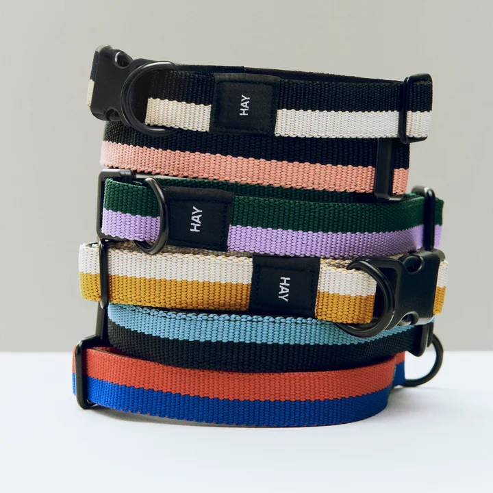 HAY - Dogs Dog collars