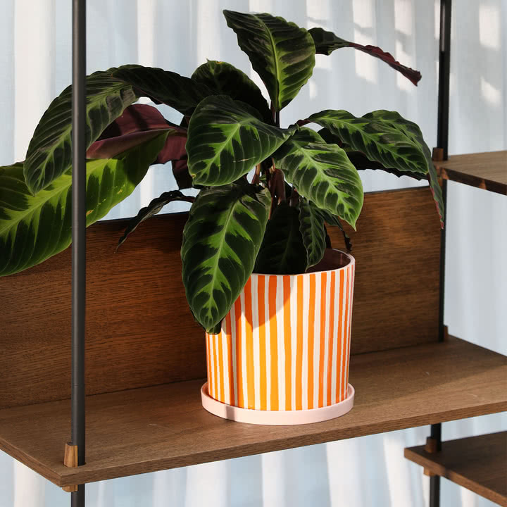 & klevering - Ray Flower pot with saucer, Ø 21.5 x 21 cm, orange / pink / white