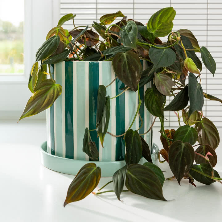 & klevering - Clash flower pot with saucer, stripe, Ø 23.5 x 21 cm, green / white