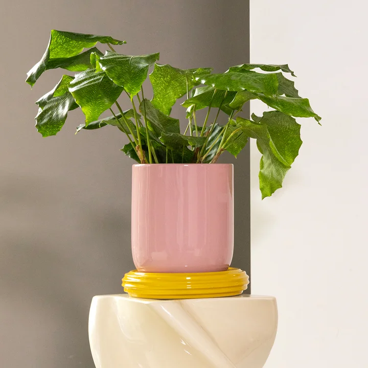 & klevering - Churros Flower pot, Ø 19.5 x 21 cm, blush / yellow