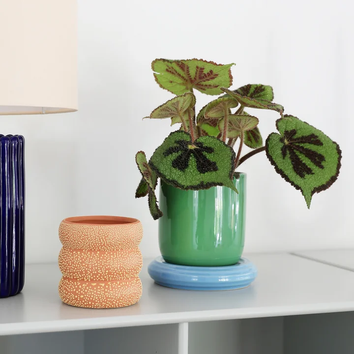 & klevering - Churros Flower pot, Ø 14.5 x 15 cm, green / blue