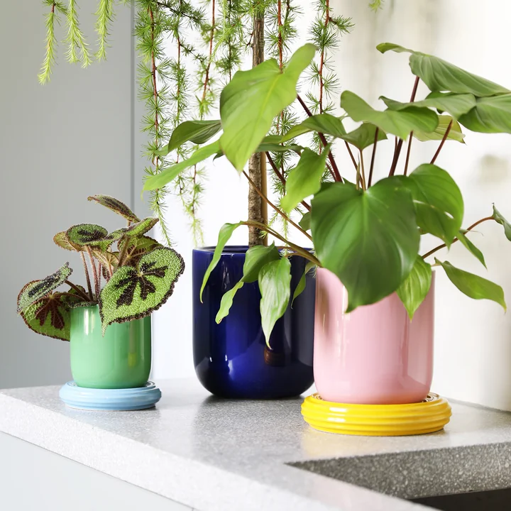 & klevering - Churros Flower pots