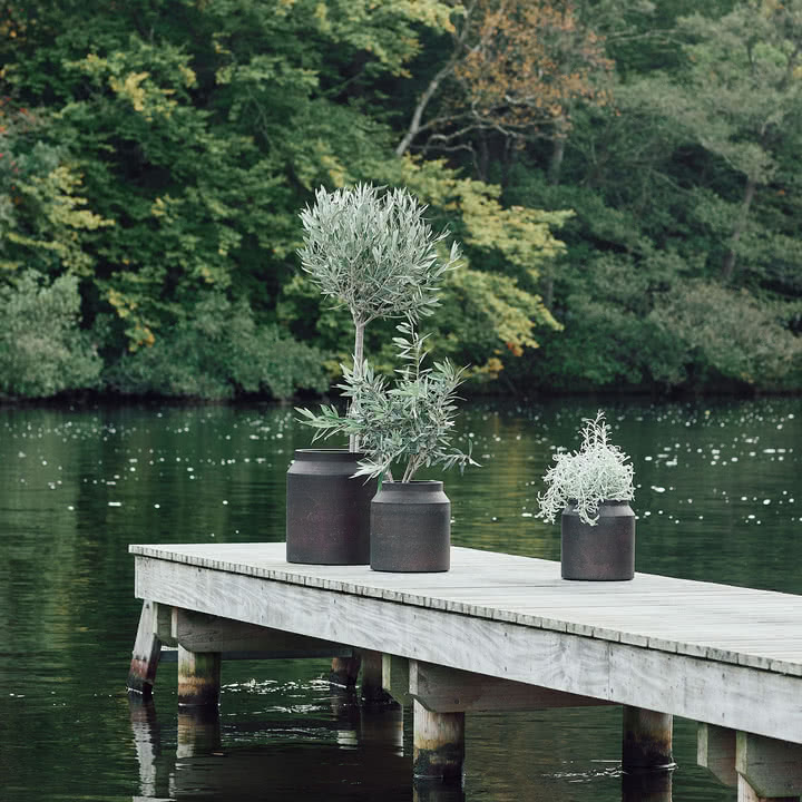 Muubs - Sai pitcher