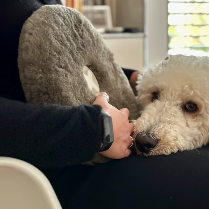 Authentics - Pill hot water bottle, sheepskin, anthracite
