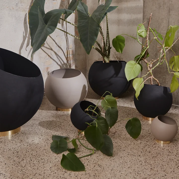 AYTM - Globe Flower pots