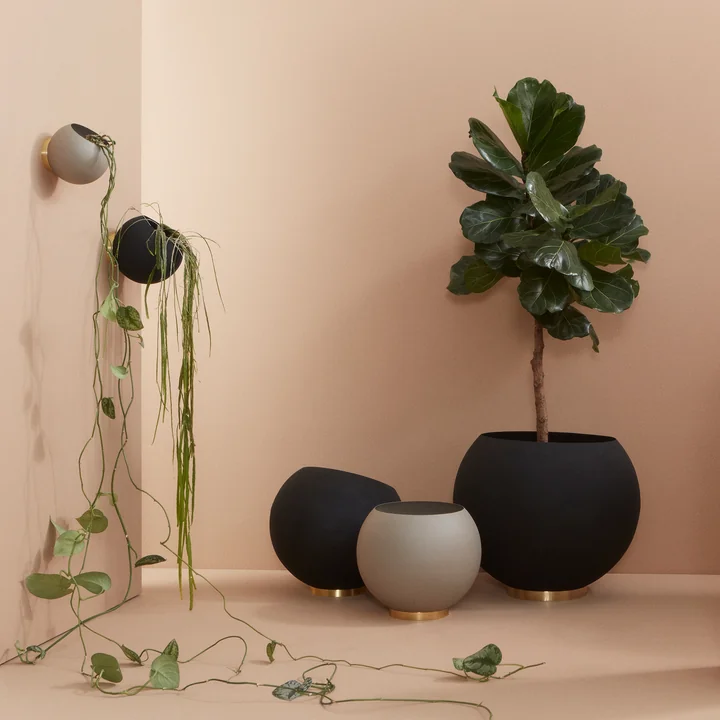 AYTM - Globe Flower pots