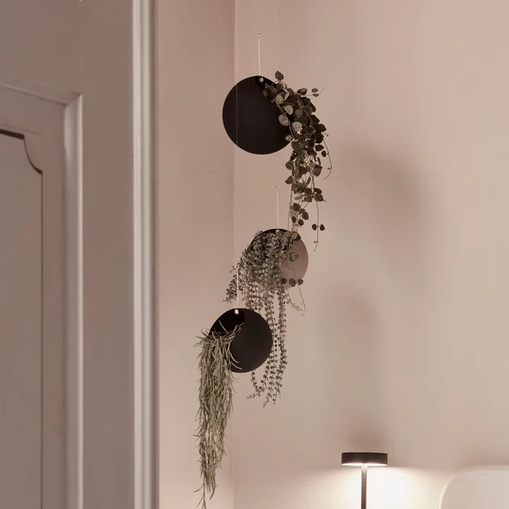 AYTM - Globe Hanging flower pots