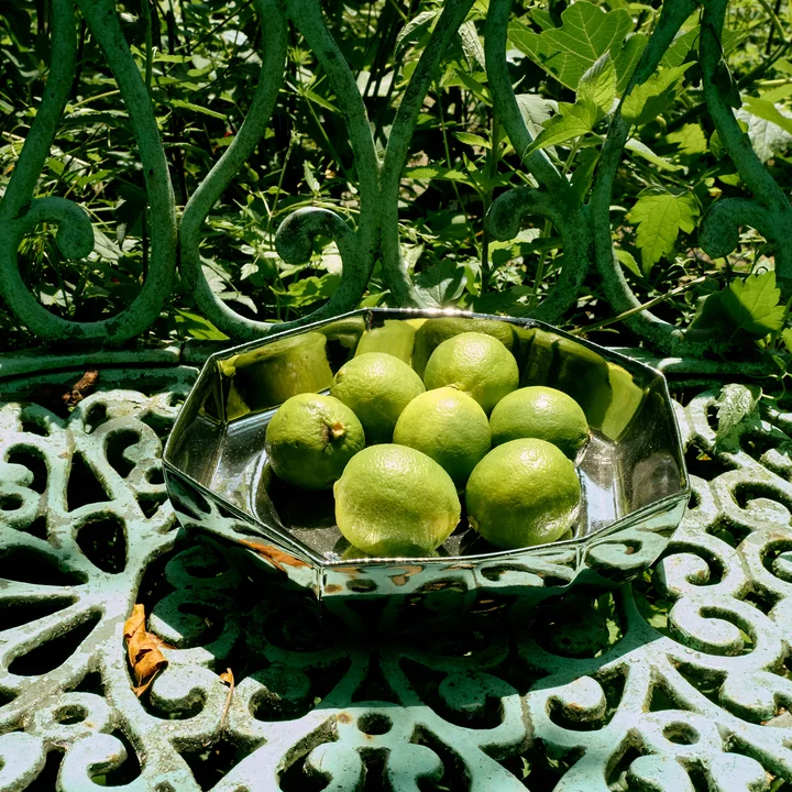 HKliving - Chrome decorative bowl