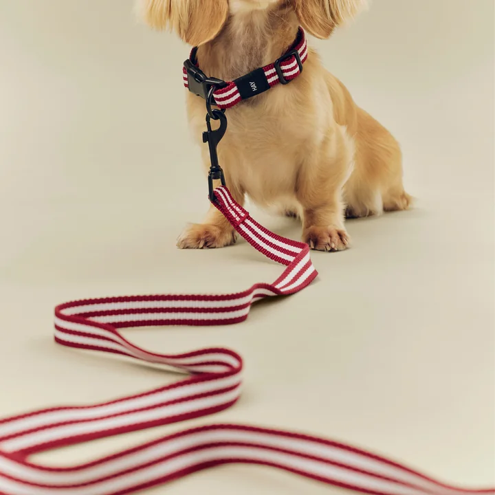 HAY - Dogs Dog lead, S/M, red / white stripes
