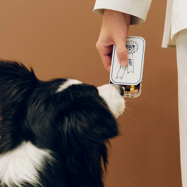 HAY - Dogs treat tin S, blue / white