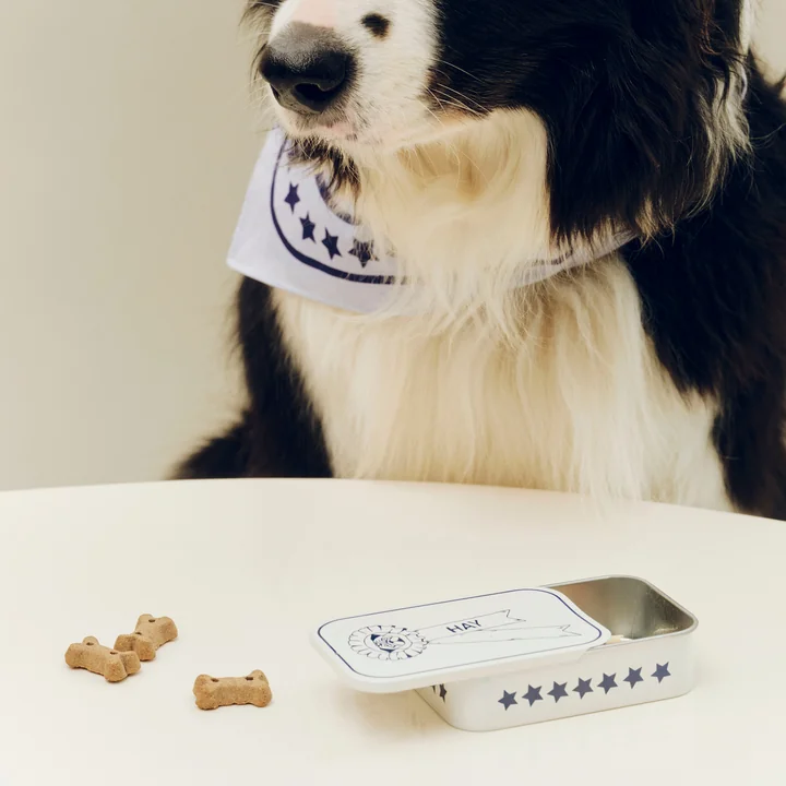 HAY - Dogs treat tin S, blue / white