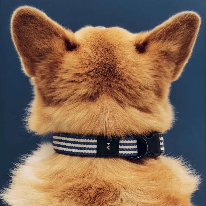 HAY - Dogs Dog collar, M/L, blue / white stripes