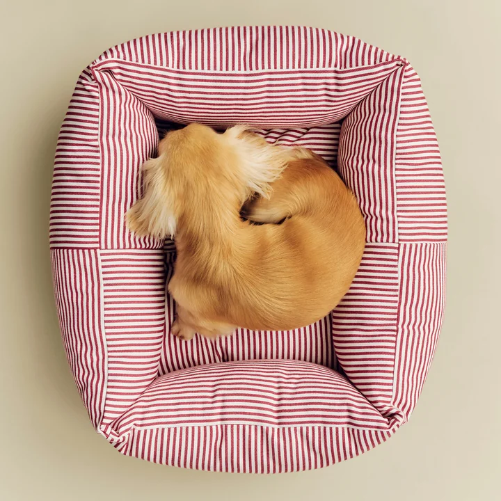 HAY - Dog bed, Zip, XS, red / white stripes