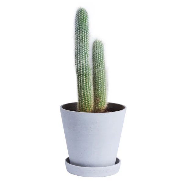 The HAY - Flowerpot with Saucer in L, gray