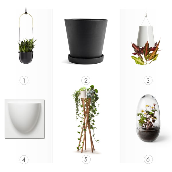 Flower pots: types, shapes and sizes