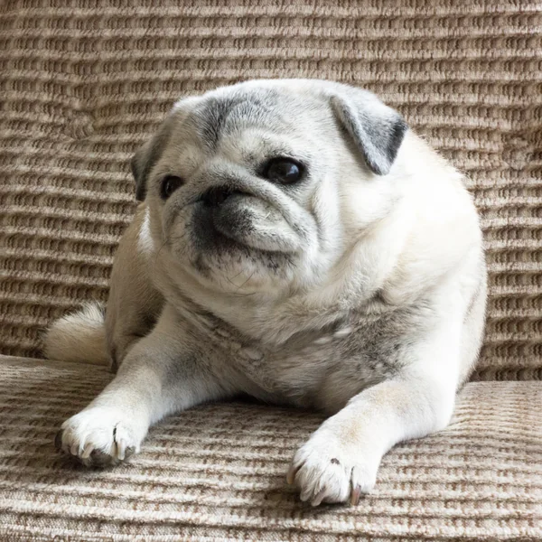 Homestory with Knot Cushions Designer Ragnheiður Ösp Sigur