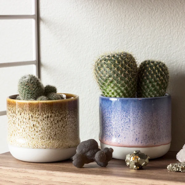 Homestory with Knot Cushions Designer Ragnheiður Ö - Plant Pot