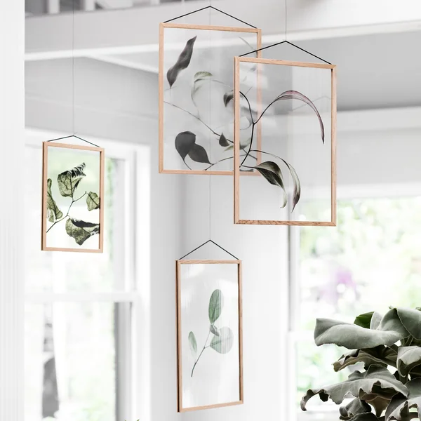 Floating Leaves from Moebe - floating in space