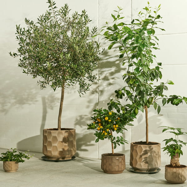 Gro planter from Kähler Design