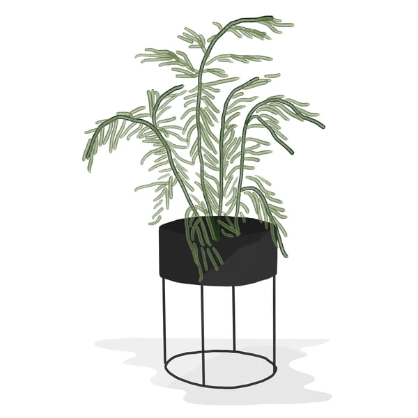 ferm Living _ Plant Box - round - black - watercolour