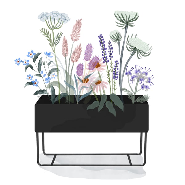 ferm Living _ Plant Box - large - black - watercolour