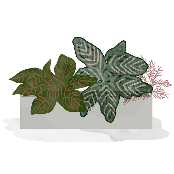 ferm Living - Plant Box small- light grey - watercolour - mosaic plant
